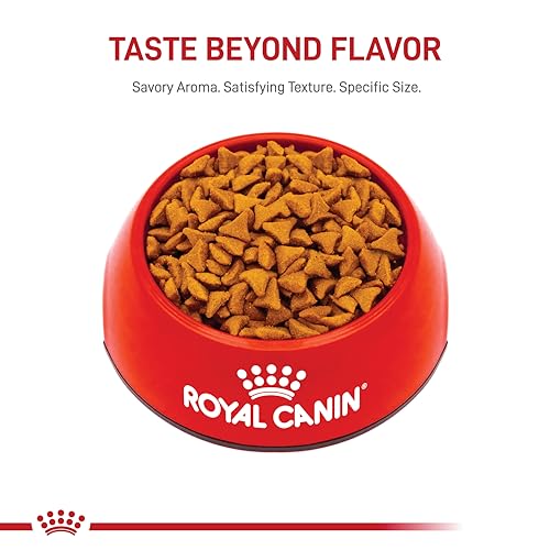 Royal Canin Félin Texture Quotidienne – alimentation équilibrée au quotidien.