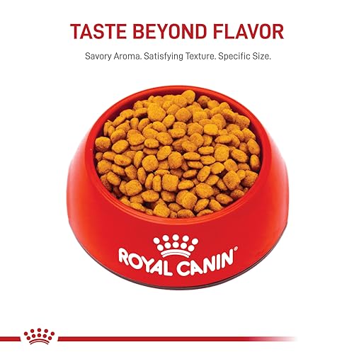 Vue sur la santé urinaire et l'hydratation avec Royal Canin Félin Urinaire.