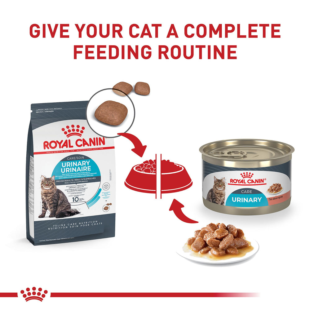 Royal Canin Feline Urinary Care: emballage lot de 24, solution pratique pour les repas.