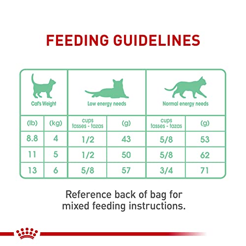 Royal Canin Digestive Care: utilisation quotidienne simple pour chats sensibles.