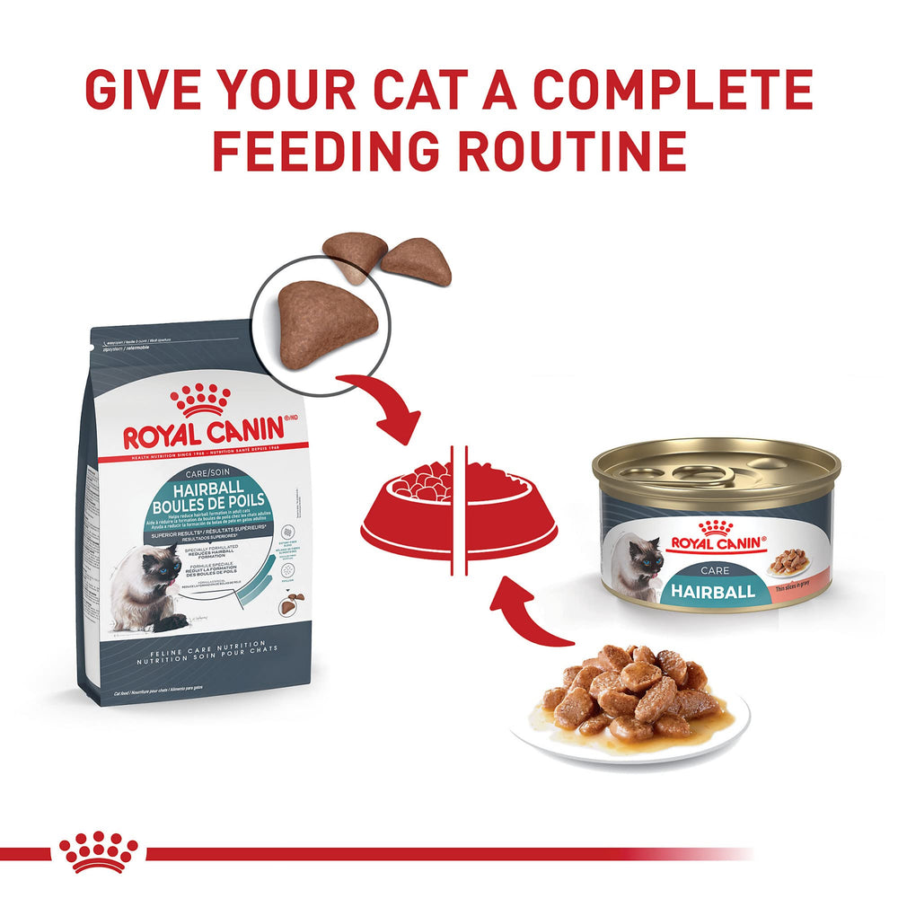 Assiette-chat: croquettes Hairball Care prêtes à être servies.