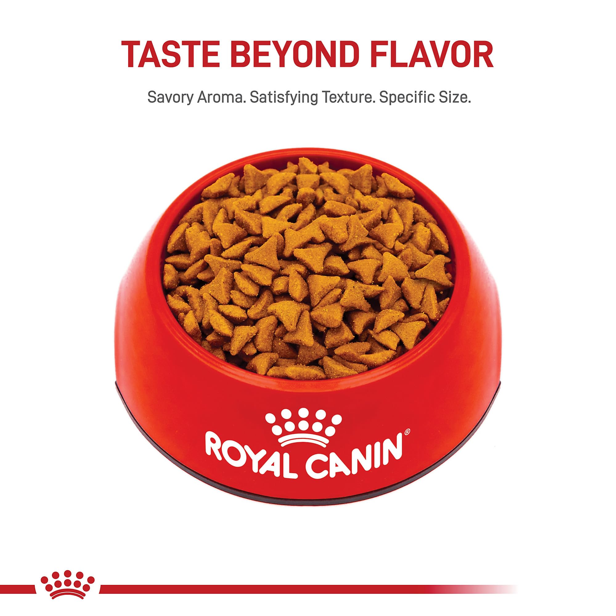 Bol-chat: Royal Canin Hairball Care servi par le bol du chat.