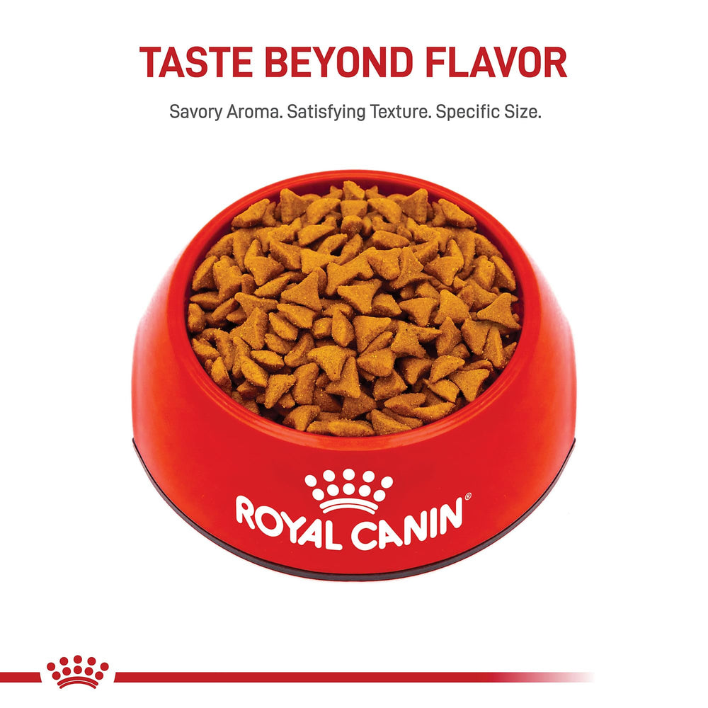 Bol-chat: Royal Canin Hairball Care servi par le bol du chat.