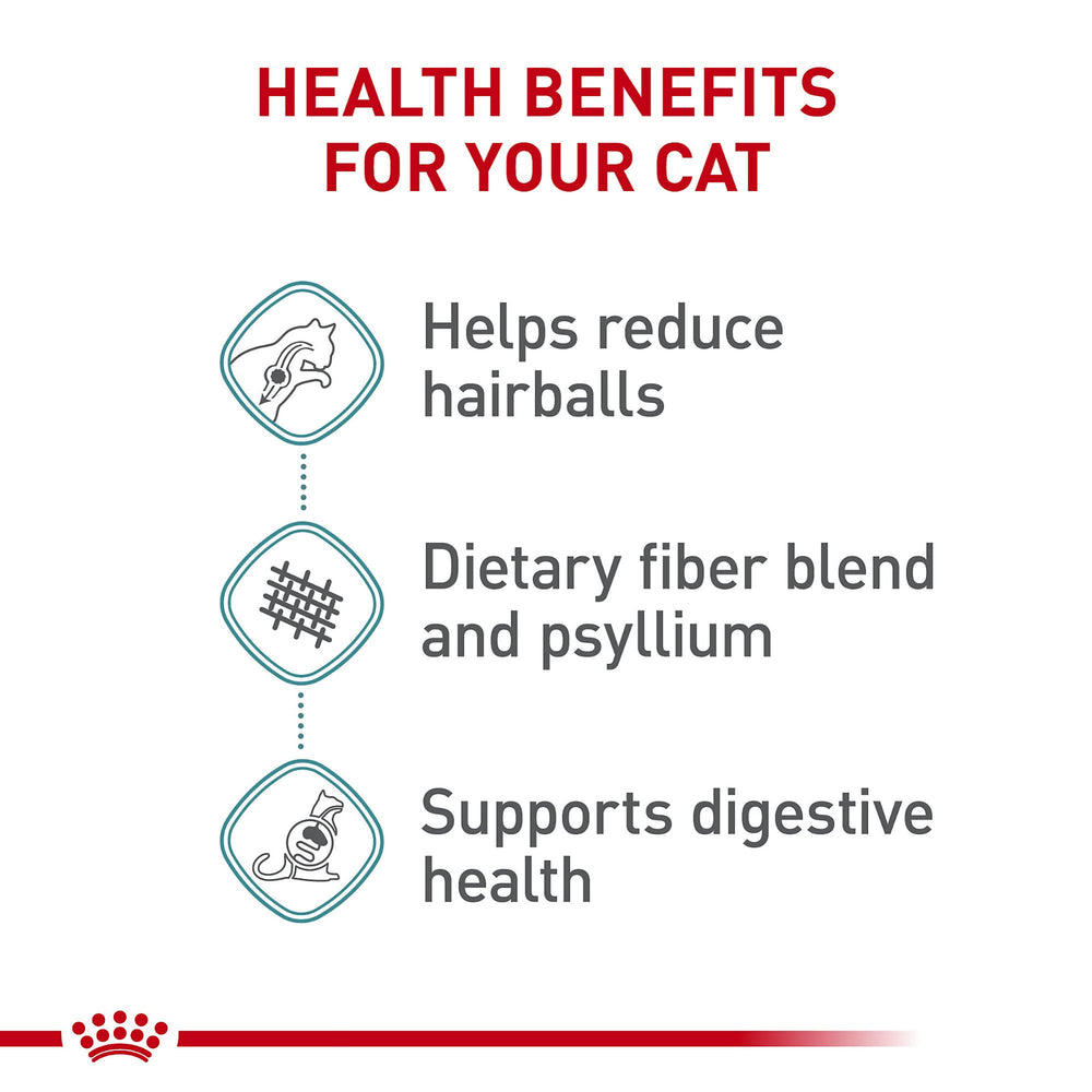 Croquettes Royal Canin Hairball Care, zoom: texture croquante et fibres ciblées.