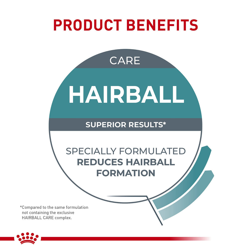 Icône digestion: Royal Canin Hairball Care symbolisant soutien intestinal potentiel.