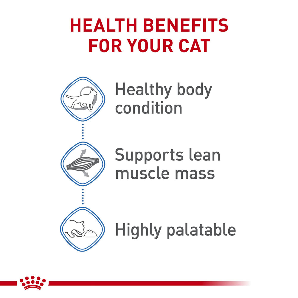 ROYAL CANIN Feline Care Weight Care bol-repas-quotidien offre une texture tendre
