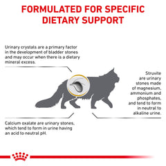 Croquettes Royal Canin Urinary So Dry servies dans un bol.