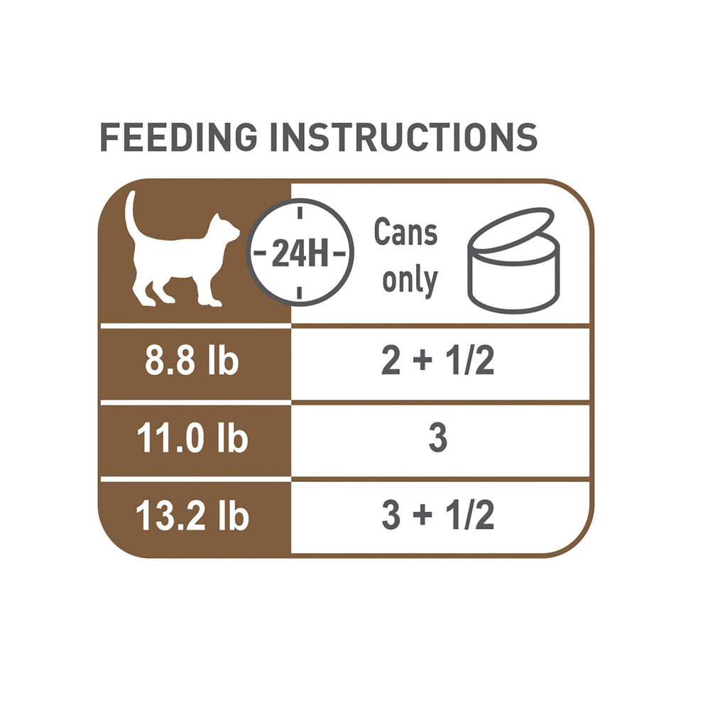 Royal Canin – soutien cognitif et vision avec nutriments clés.