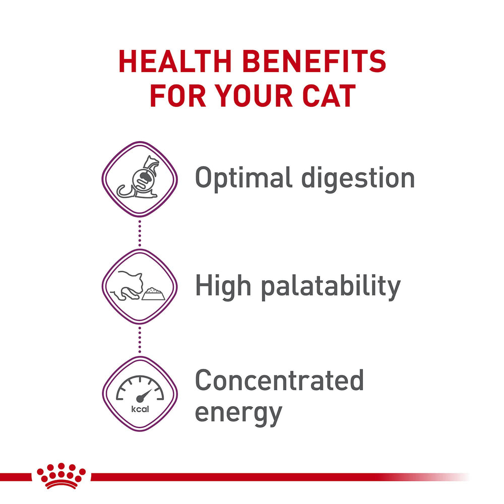 Kibbles Royal Canin aux formes uniques pour stimuler l'appétit des chats.