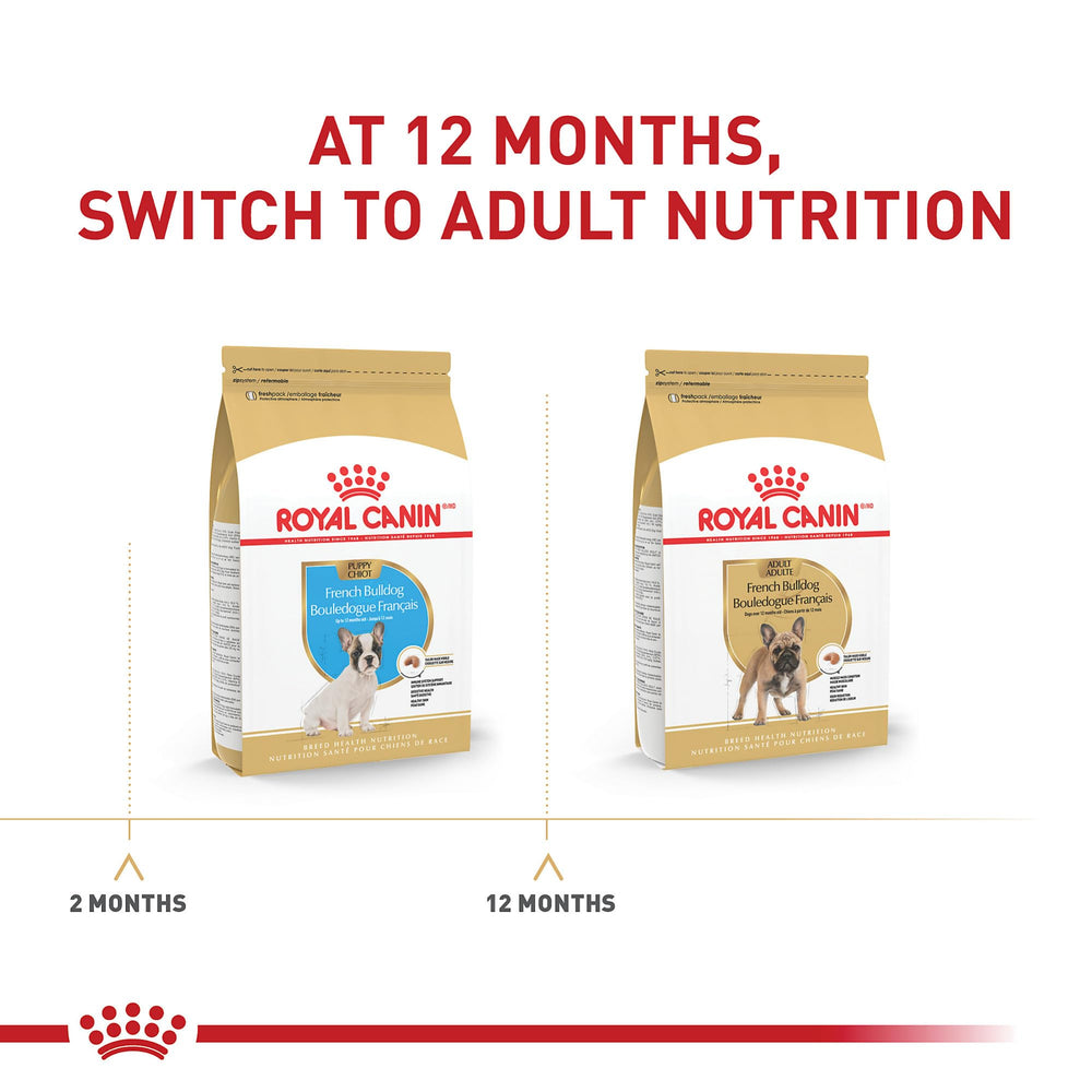 Royal Canin Bouledogue Francais Chiot: formulation adaptee a la race