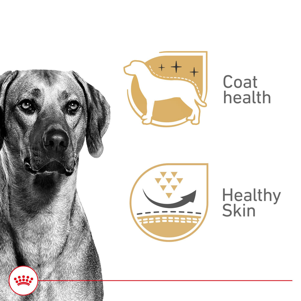 Royal Canin formule enrichie en vitamines B et minéraux pour le pelage.