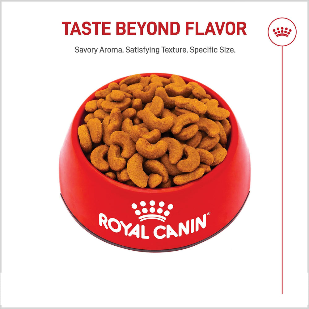 Royal Canin Formule adaptée pour Bouledogue Français adulte
