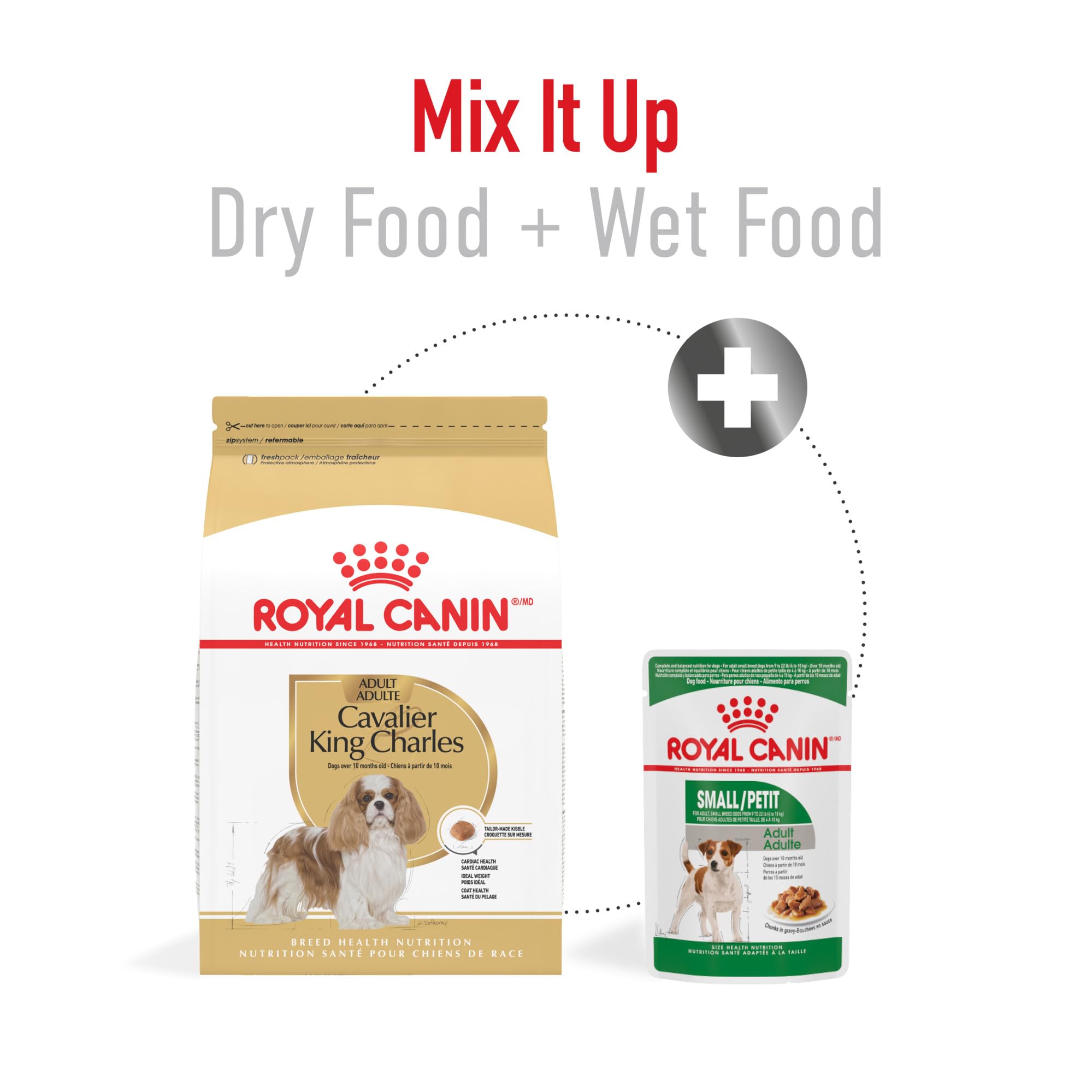 ROYALE CANIN Formule race pure pour Cavalier King Charles Spaniel adulte.