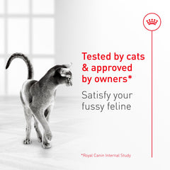 ROYAL CANIN Fussy interieur-exterieur: nutrition adaptée pour chats adultes