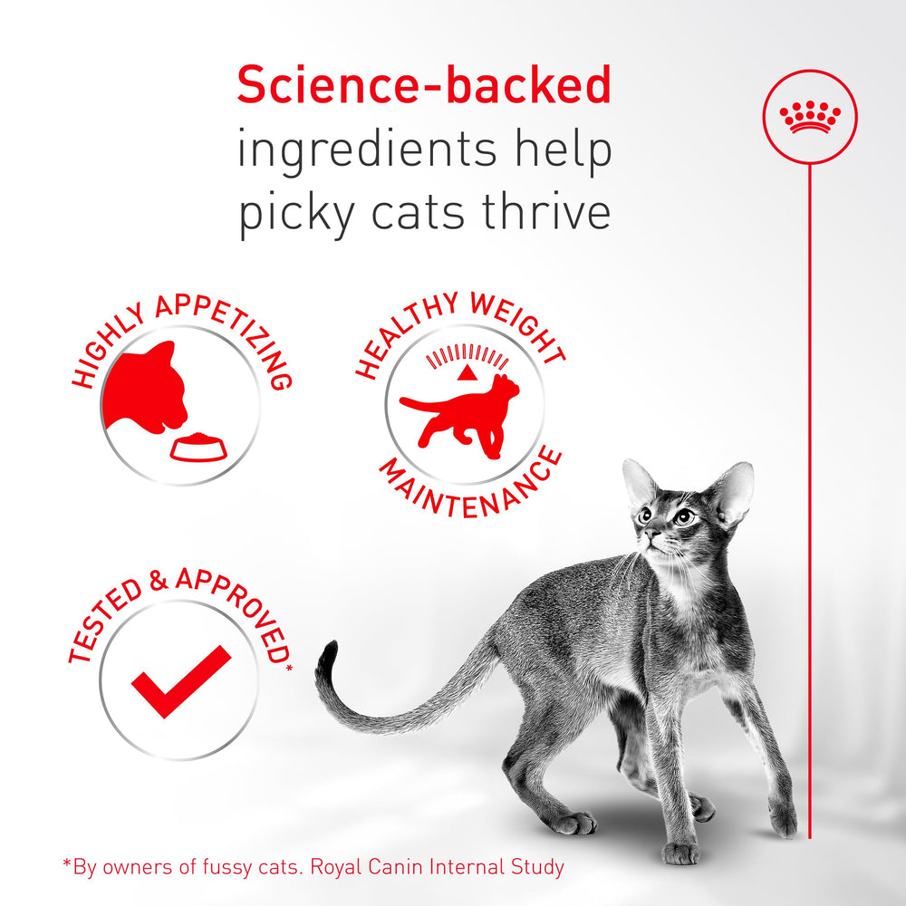 ROYAL CANIN Fussy sante-urinaire: soutien potentiel pour le confort urinaire des chats