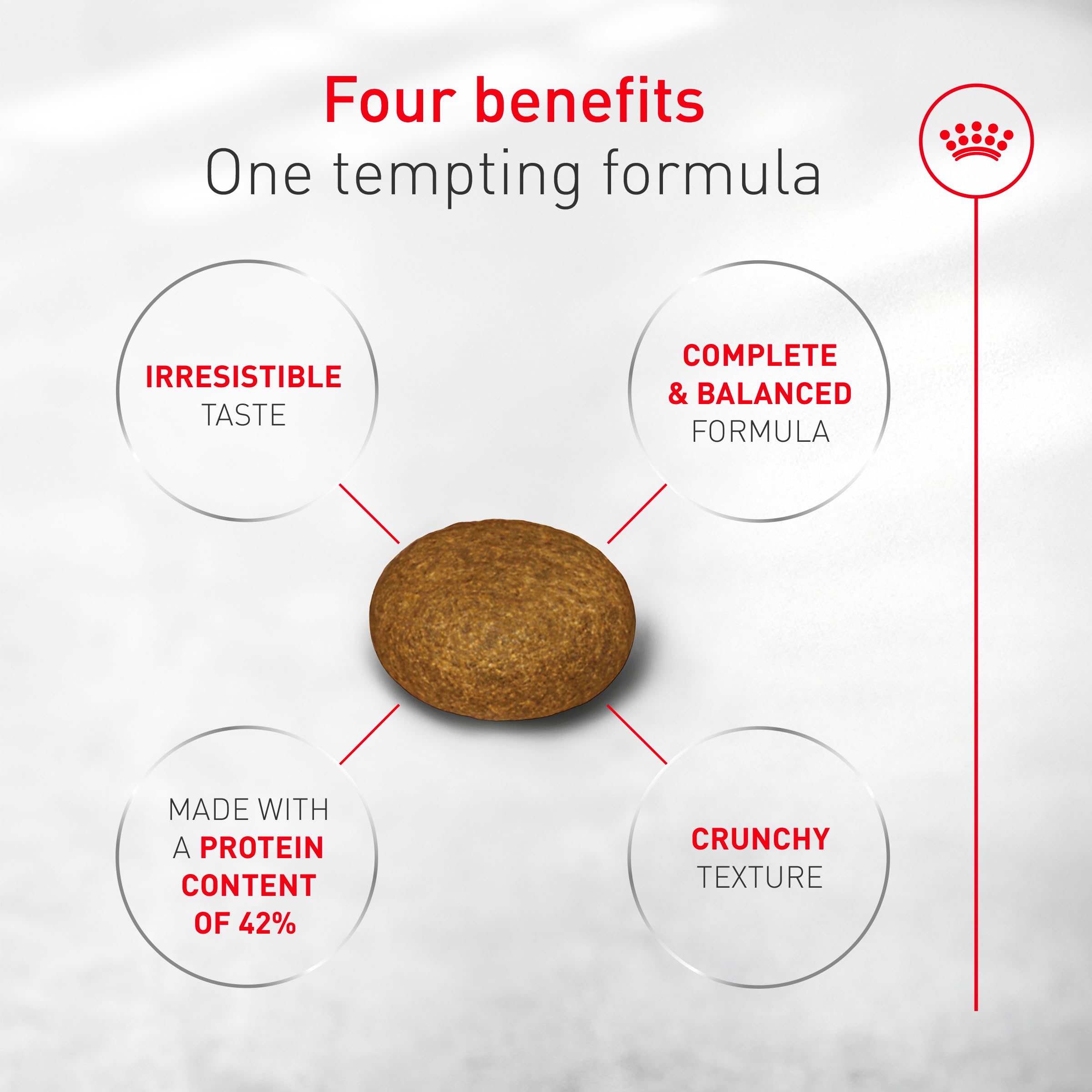 ROYAL CANIN Fussy soutien-poids sain pour une silhouette équilibrée