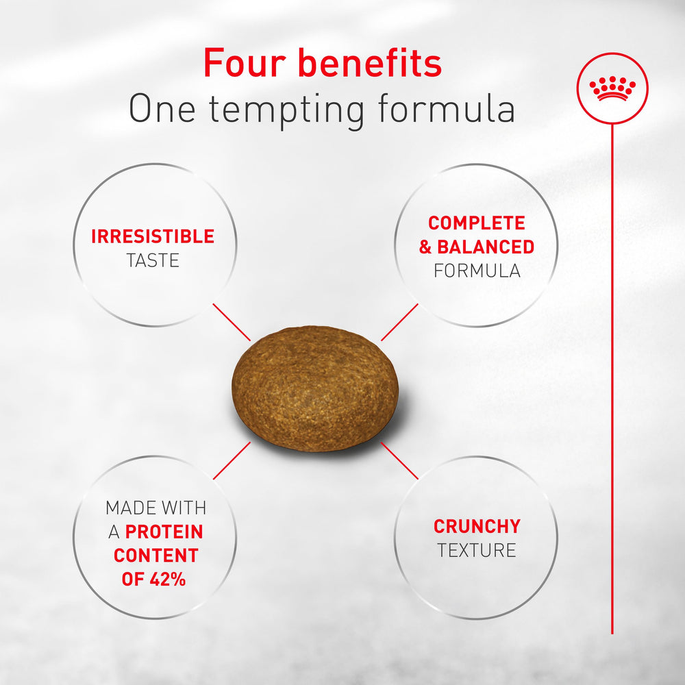 ROYAL CANIN Fussy soutien-poids sain pour une silhouette équilibrée