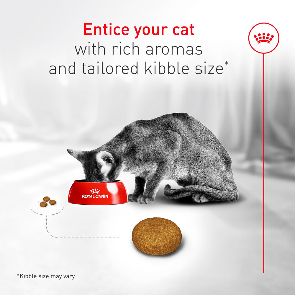 ROYAL CANIN Fussy texture croquante et protéines élevées pour énergie et satiété