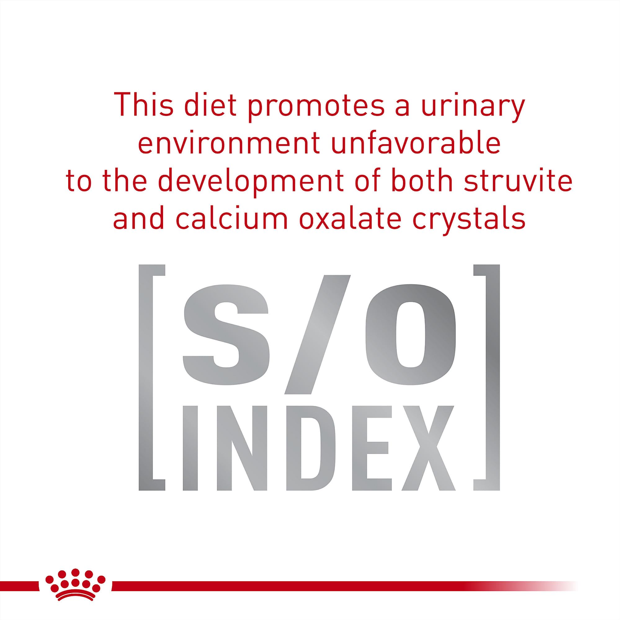 Bol Royal Canin fibre gastro-intestinale facilitant le service des repas.