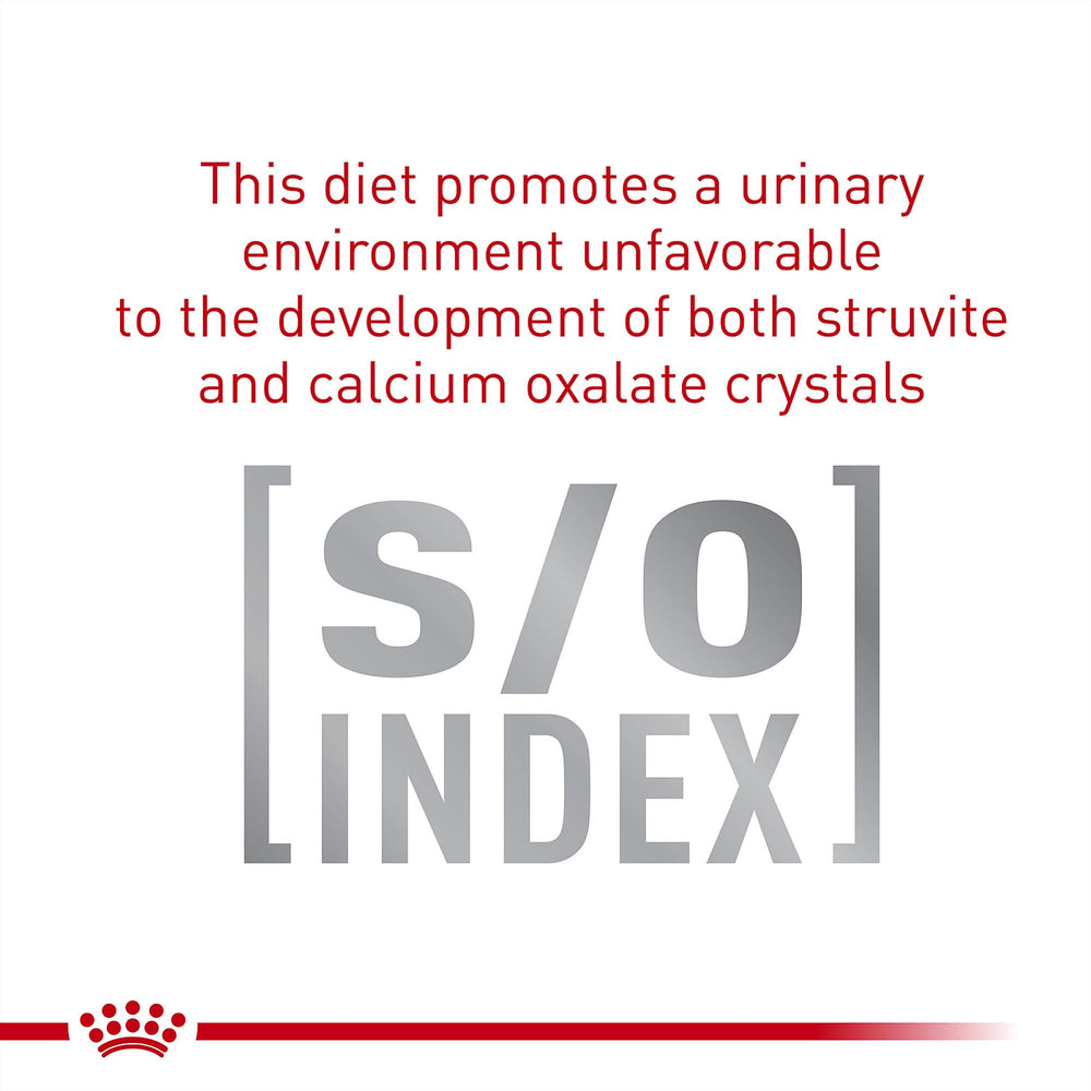 Bol Royal Canin fibre gastro-intestinale facilitant le service des repas.