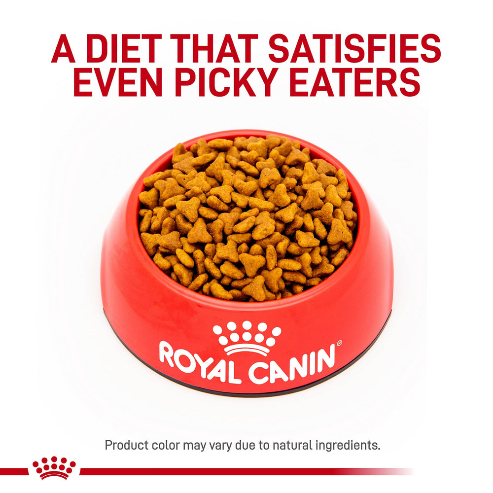 Croquettes fibre gastro-intestinale Royal Canin favorisant un transit régulier.