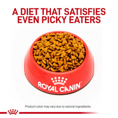Croquettes fibre gastro-intestinale Royal Canin favorisant un transit régulier.