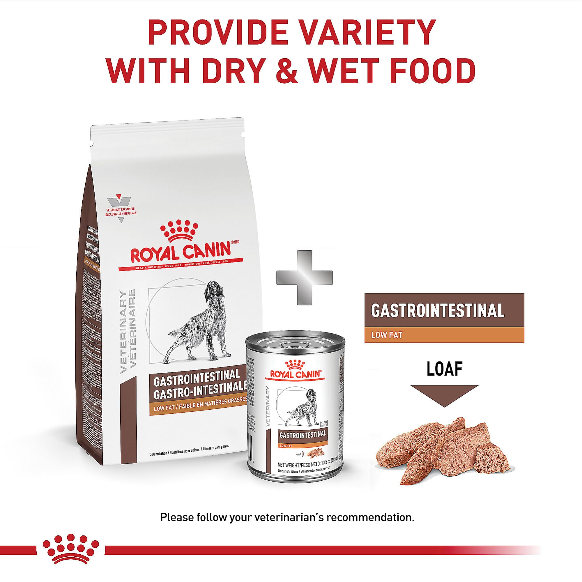 Croquettes Royal Canin Gastrointestinal Low Fat dans bol, textures variées possibles.
