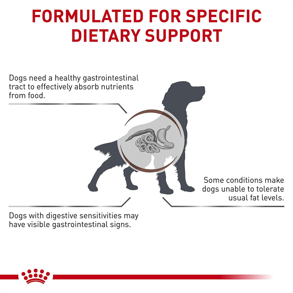 Détail des croquettes Royal Canin Gastrointestinal Low Fat, texture et grains visibles.