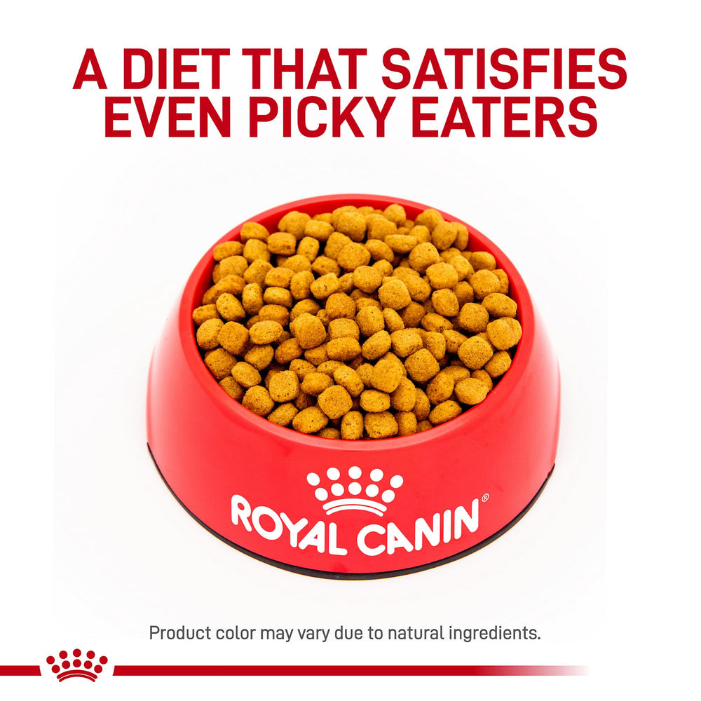 Gros plan sur les croquettes Royal Canin Gastrointestinal Low Fat, digestion facilitée.
