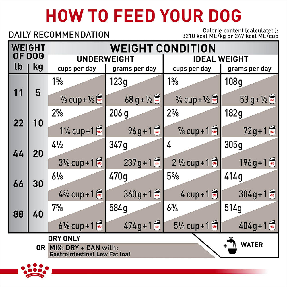 Sous-emballage Royal Canin Gastrointestinal Low Fat, traçabilité assurée.