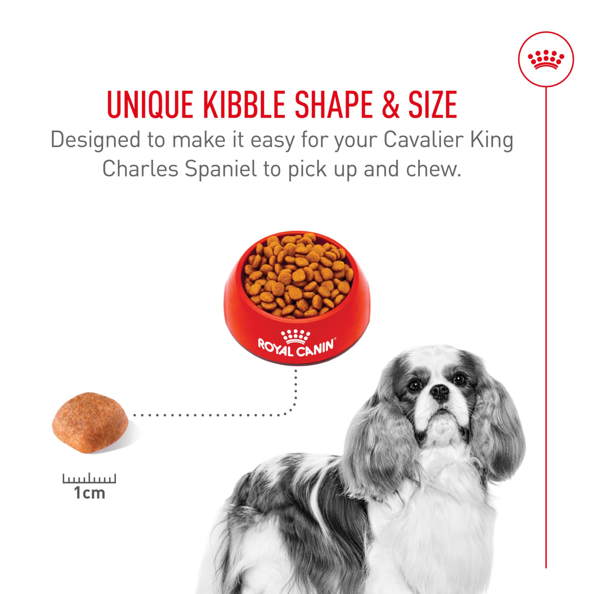 ROYALE CANIN Gestion du poids pour Cavalier King Charles Spaniel adulte.