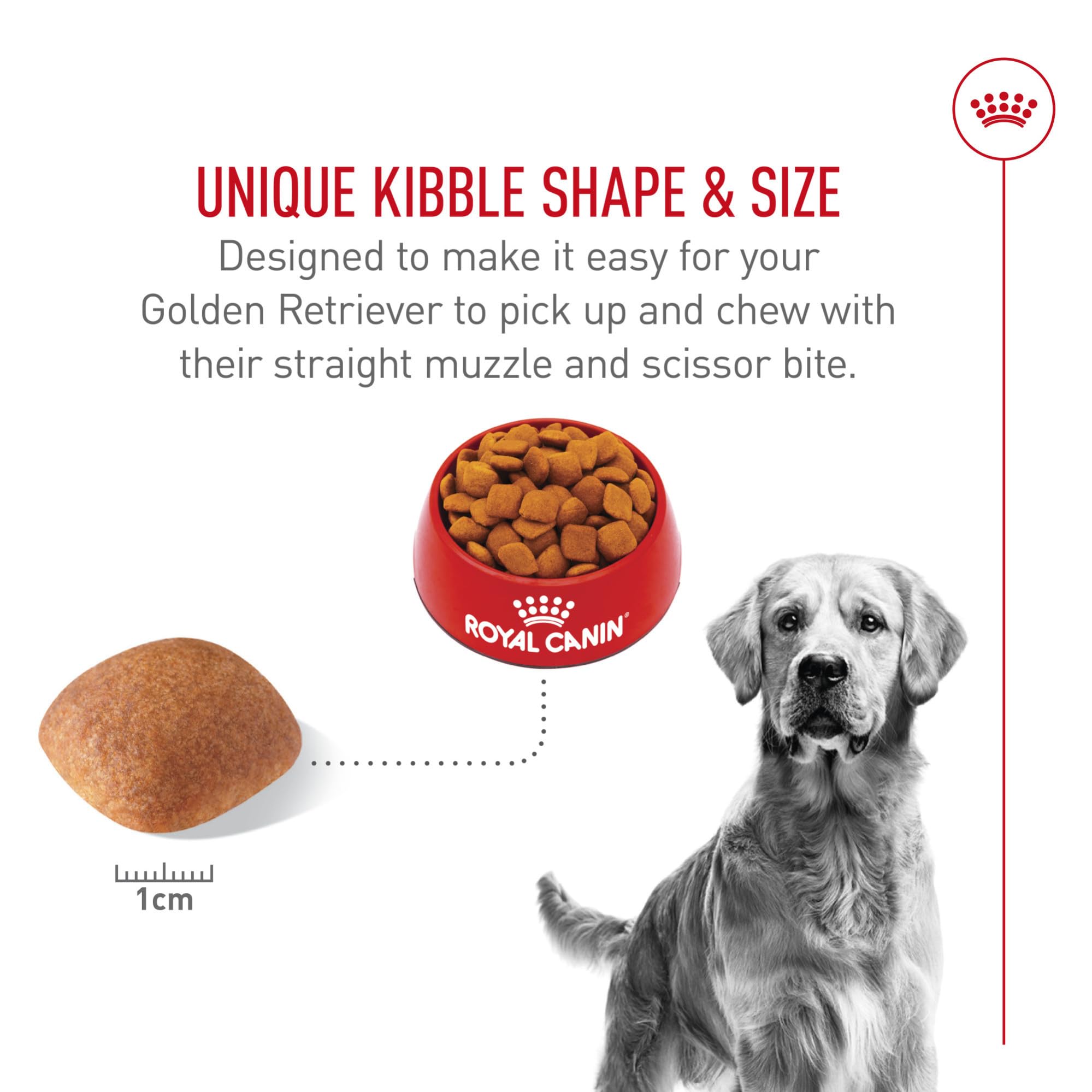 Royal Canin Golden Retriever — calories et gras adaptés pour le contrôle du poids.