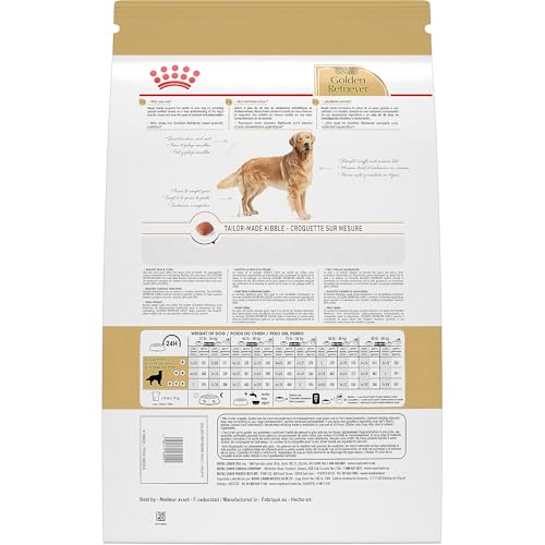 Royal Canin Golden Retriever — kibble forme spéciale adaptée à la mâchoire.