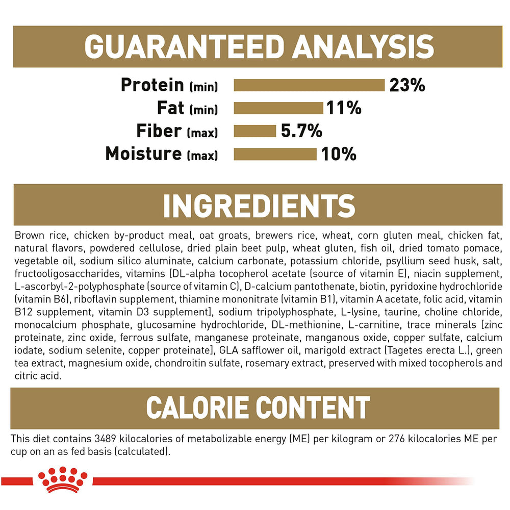 Royal Canin Golden Retriever — mélange sec et humide pour varier les repas.