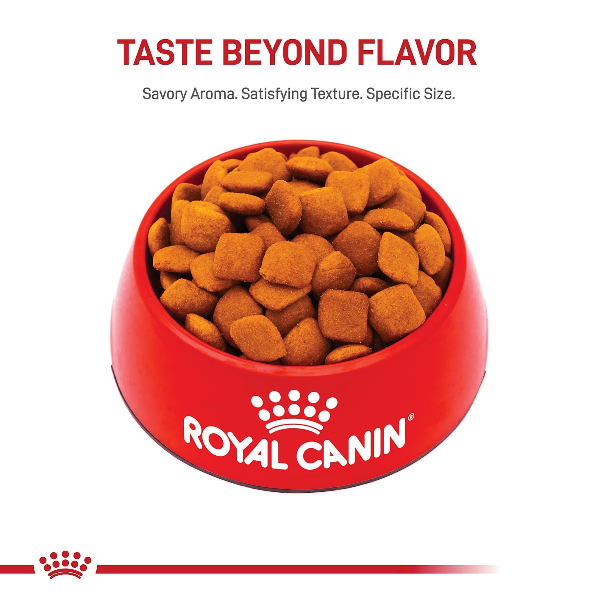 Royal Canin Golden Retriever — alimentation équilibrée pour chien actif.