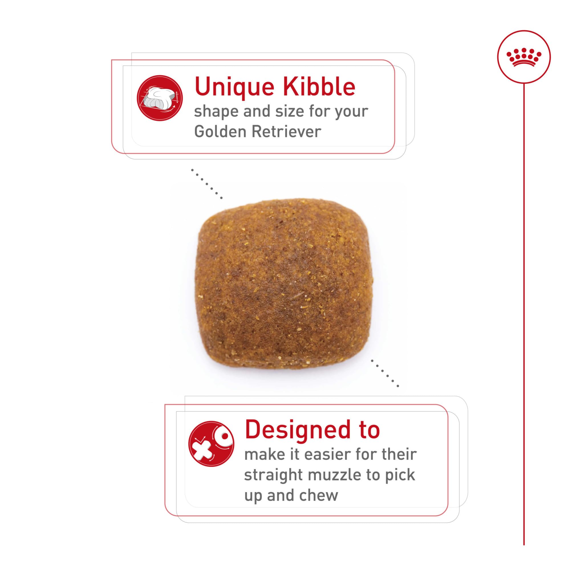 Royal Canin Golden Retriever — nutriments clés pour peau et poil sains.
