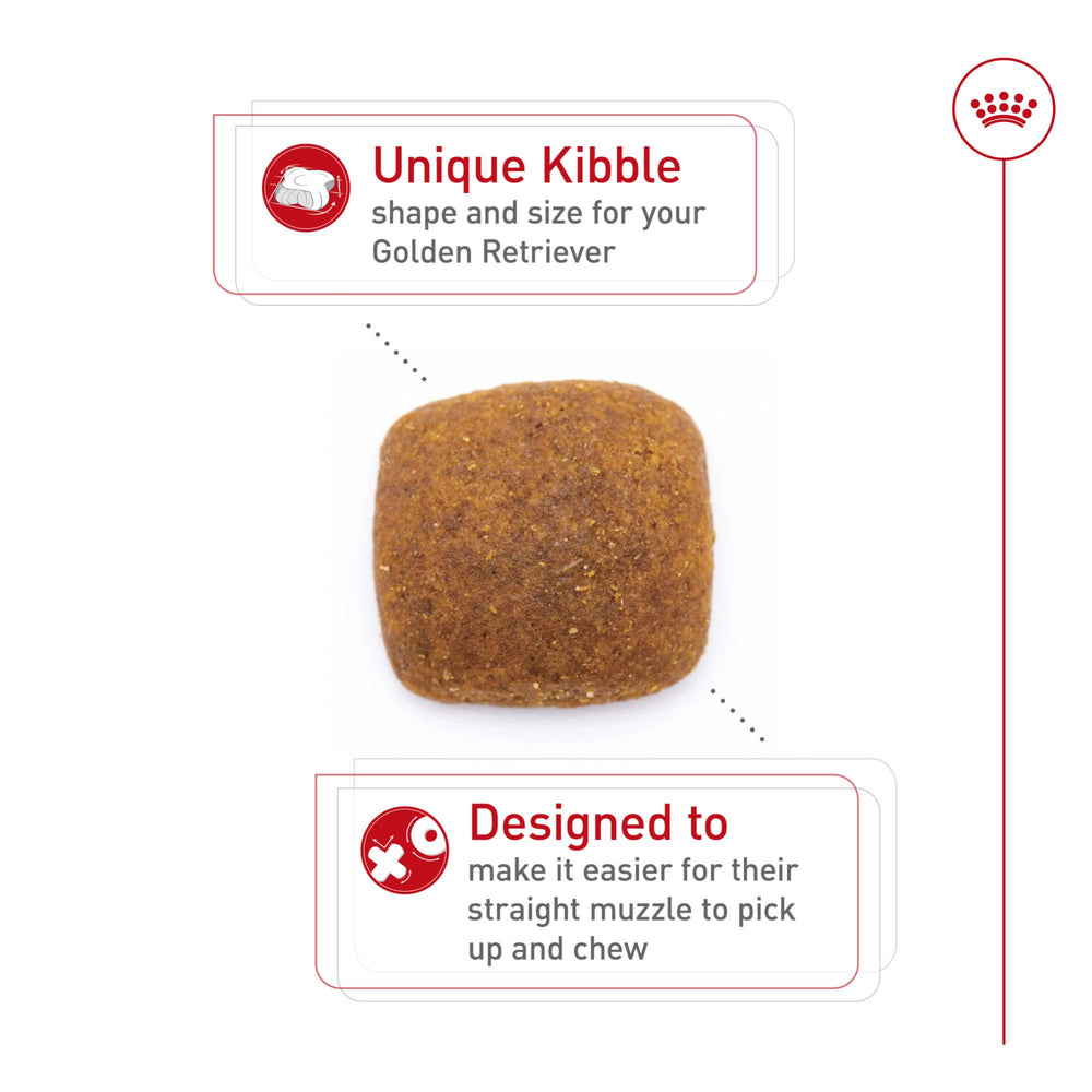 Royal Canin Golden Retriever — nutriments clés pour peau et poil sains.