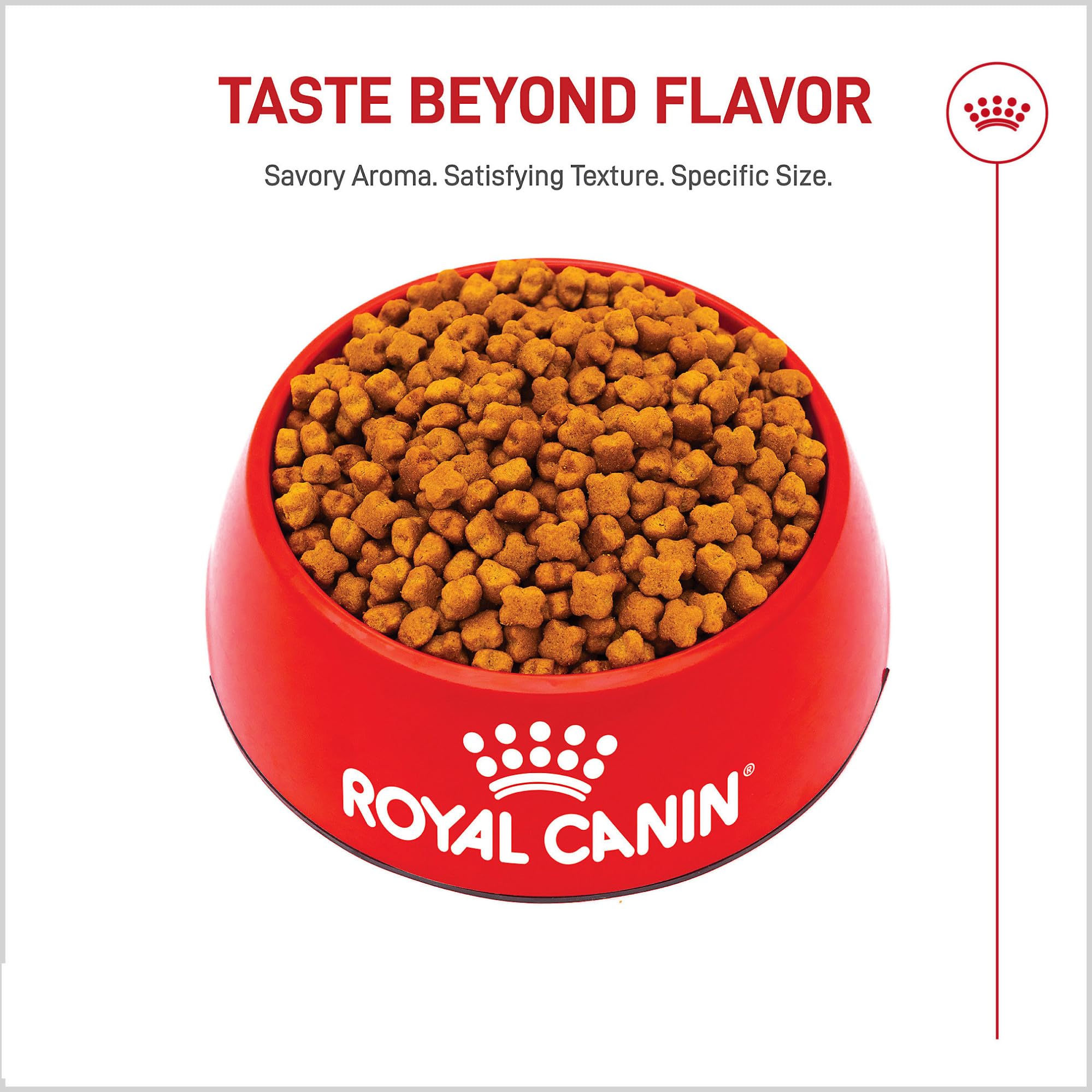 Royal Canin GS Puppy croquettes dentition forte pour chiot Berger Allemand