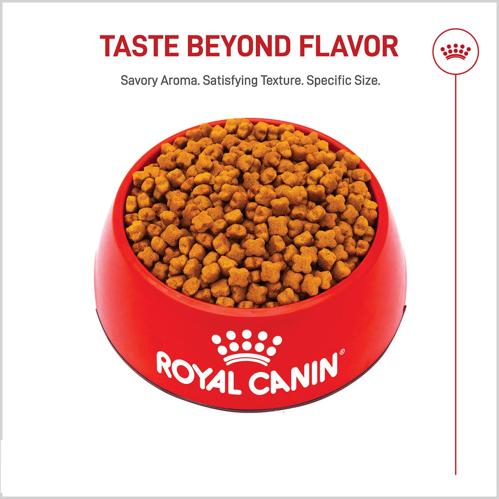Royal Canin GS Puppy croquettes dentition forte pour chiot Berger Allemand