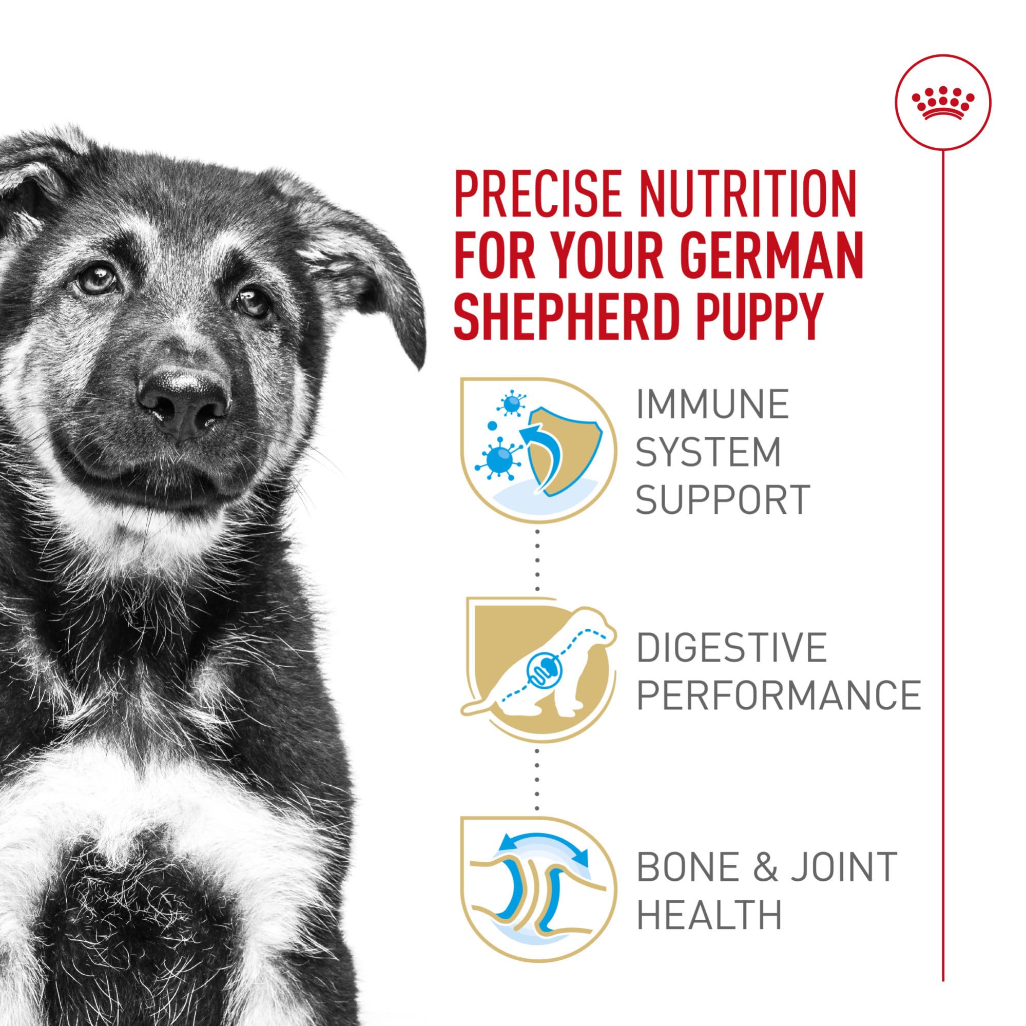 Royal Canin GS Puppy protéines digestibles et fibres pour digestion