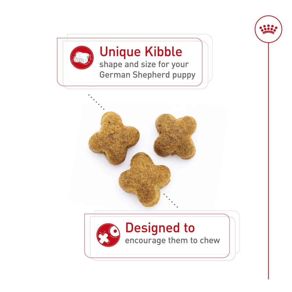 Royal Canin GS Puppy nutriments vitamine E pour immunité du chiot