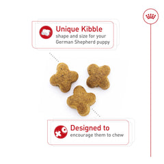 Royal Canin GS Puppy nutriments vitamine E pour immunité du chiot