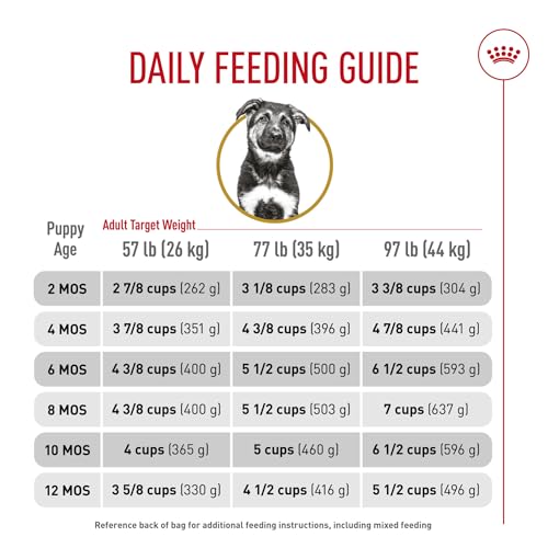 Royal Canin GS Puppy moment de repas et appétence