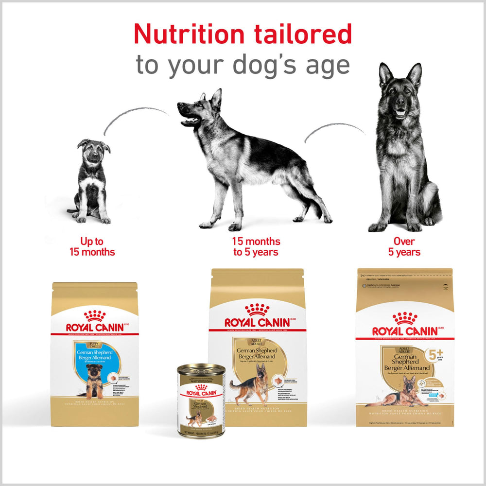 Royal Canin GS Puppy texture croquante des croquettes