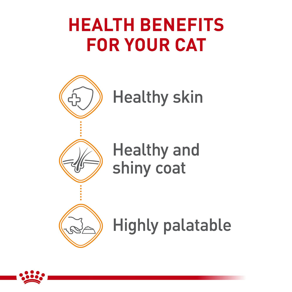 Poil brillant après dégustation grâce à Royal Canin Hair & Skin Care Loaf en Sauce.