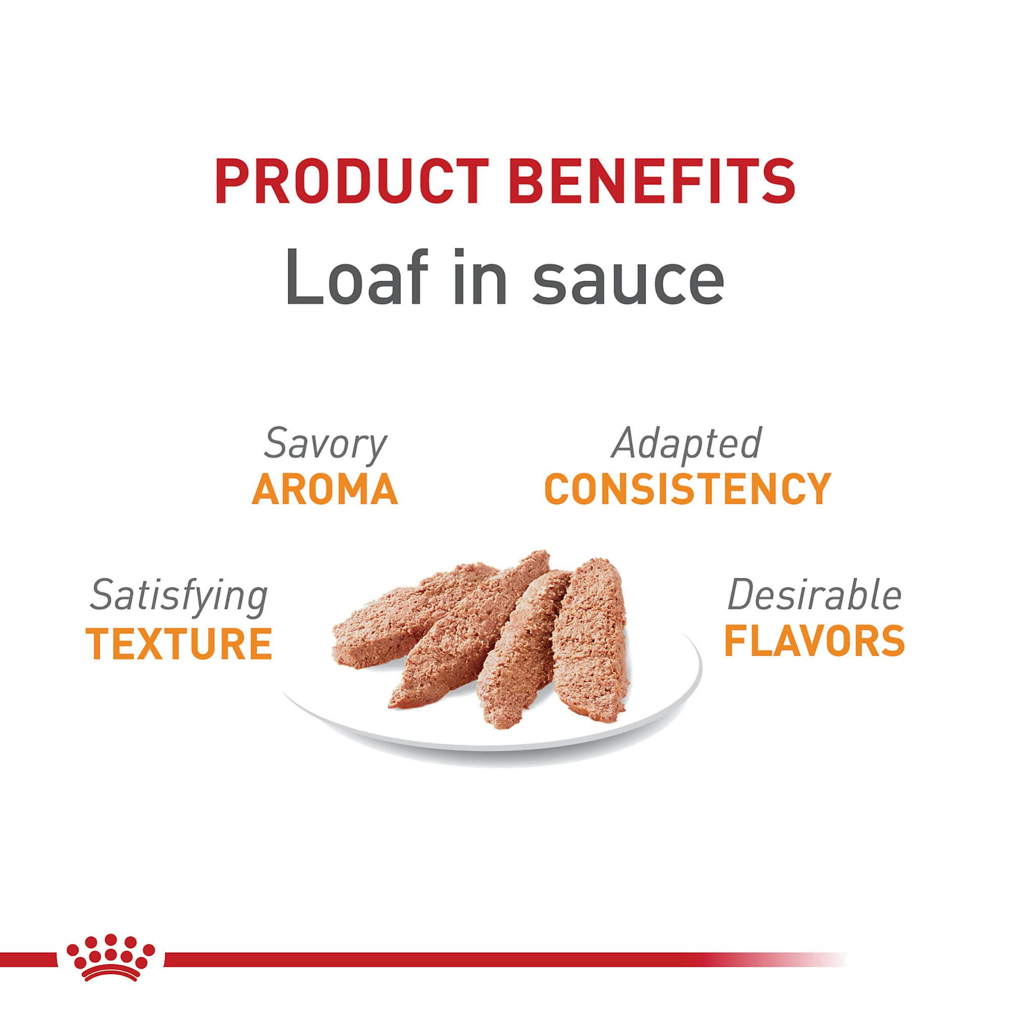 Portion servie dans un bol avec Royal Canin Hair & Skin Care Loaf en Sauce.