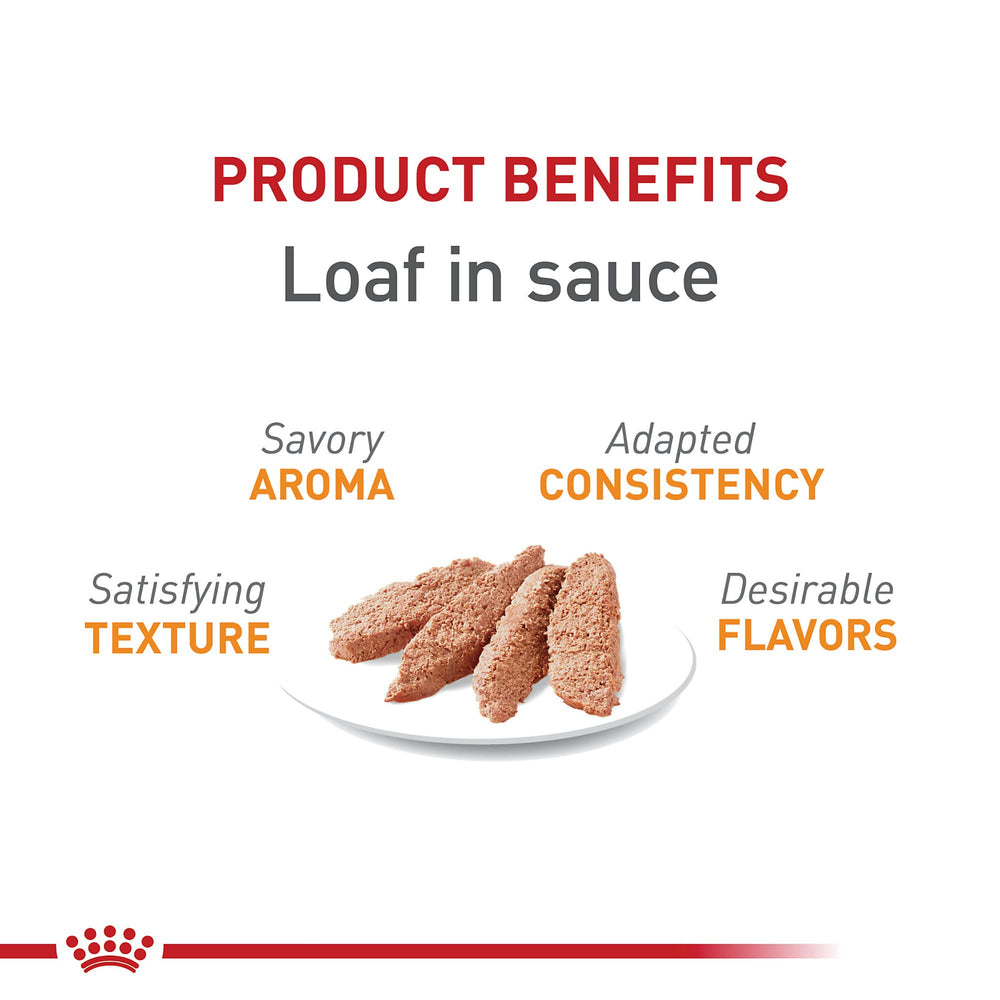 Portion servie dans un bol avec Royal Canin Hair & Skin Care Loaf en Sauce.