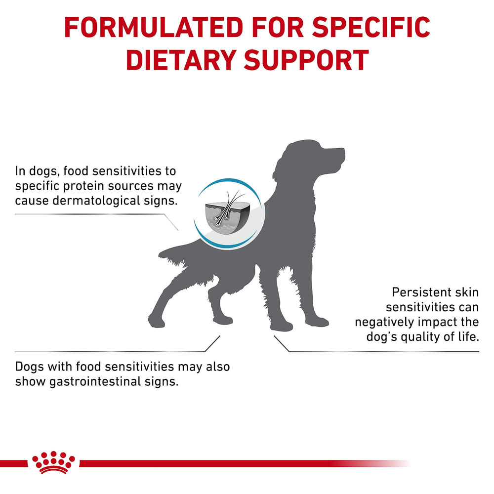 Pulpe de betterave soutenant l’absorption des nutriments.