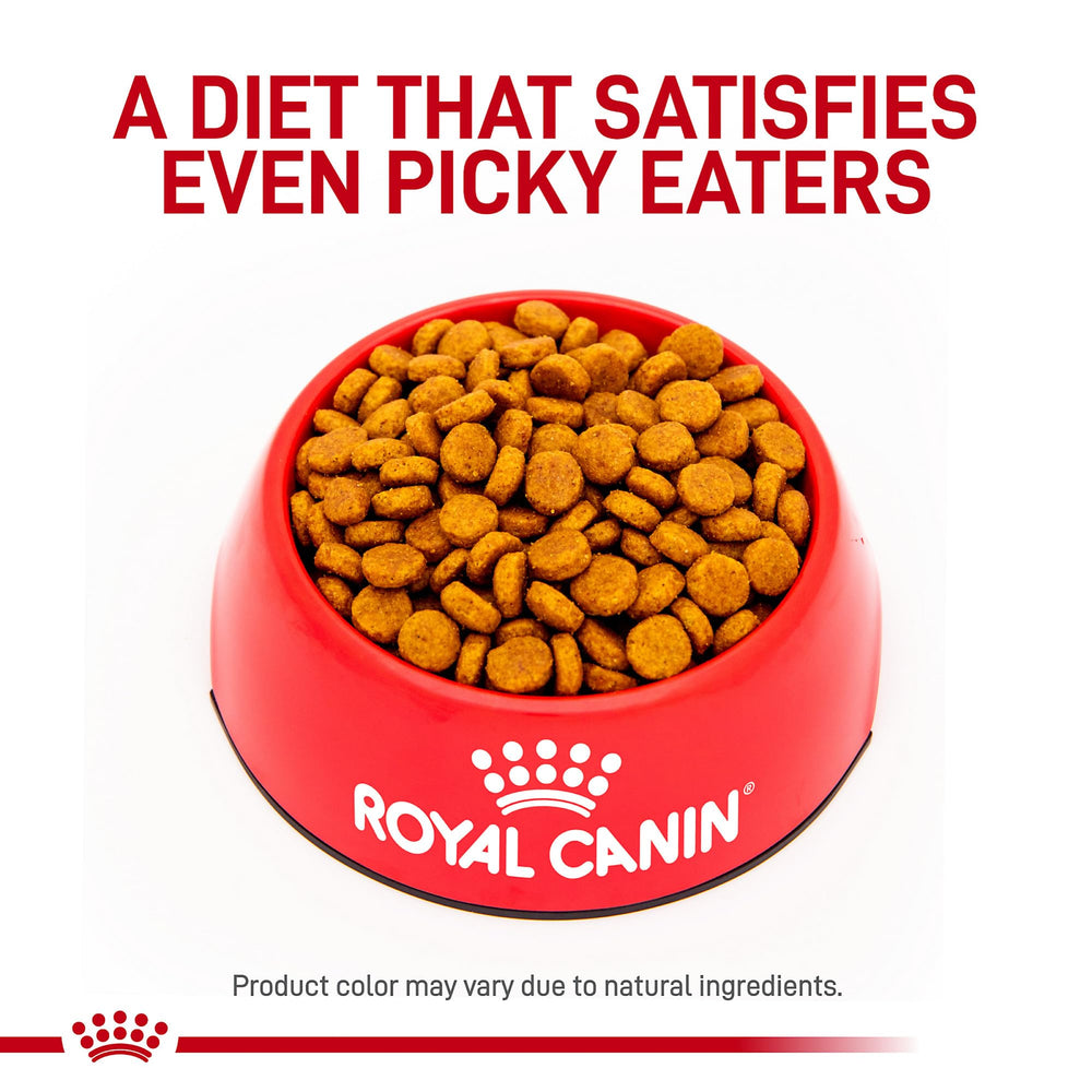 Sac ROYAL CANIN HP montrant les 38 portions pratiques.