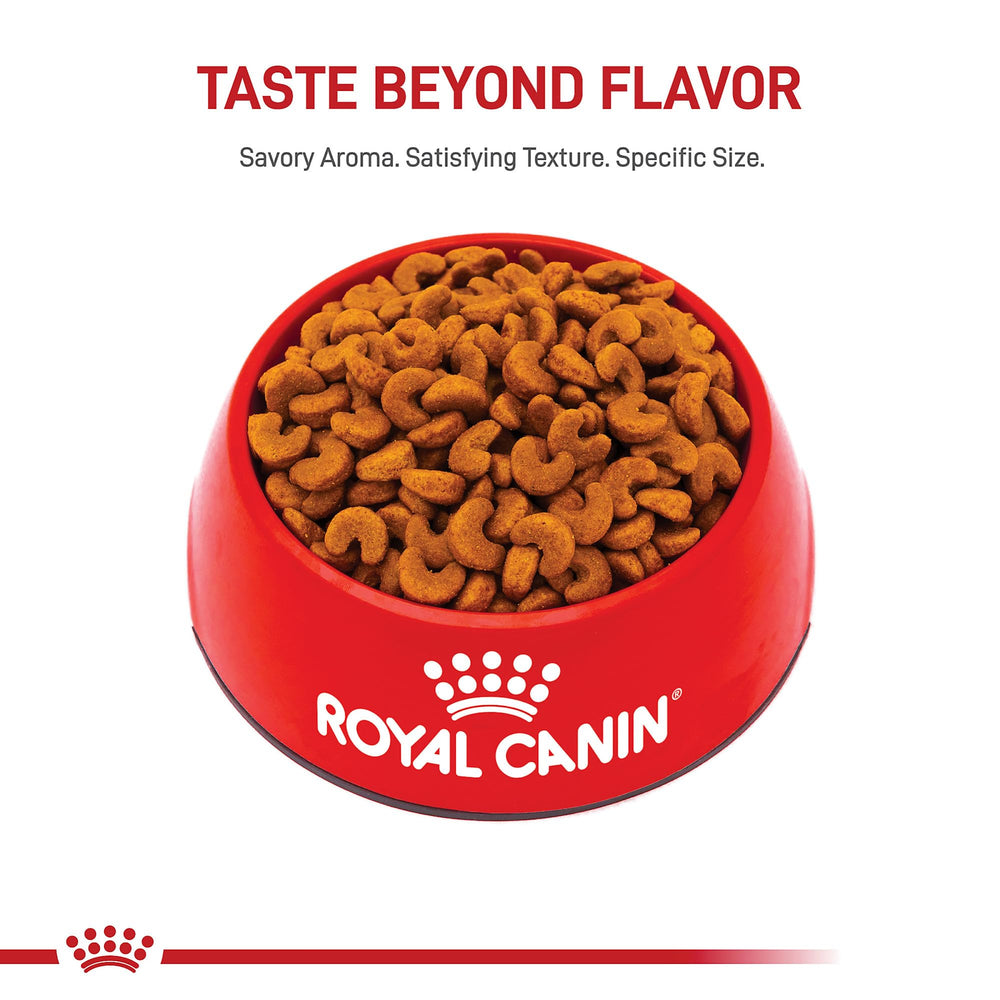 Royal Canin Bouledogue Francais Chiot: soutien immunitaire avec antioxydants et vitamine-e